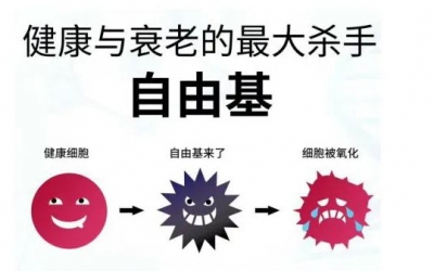 玻尿酸的作用與功效有哪些？